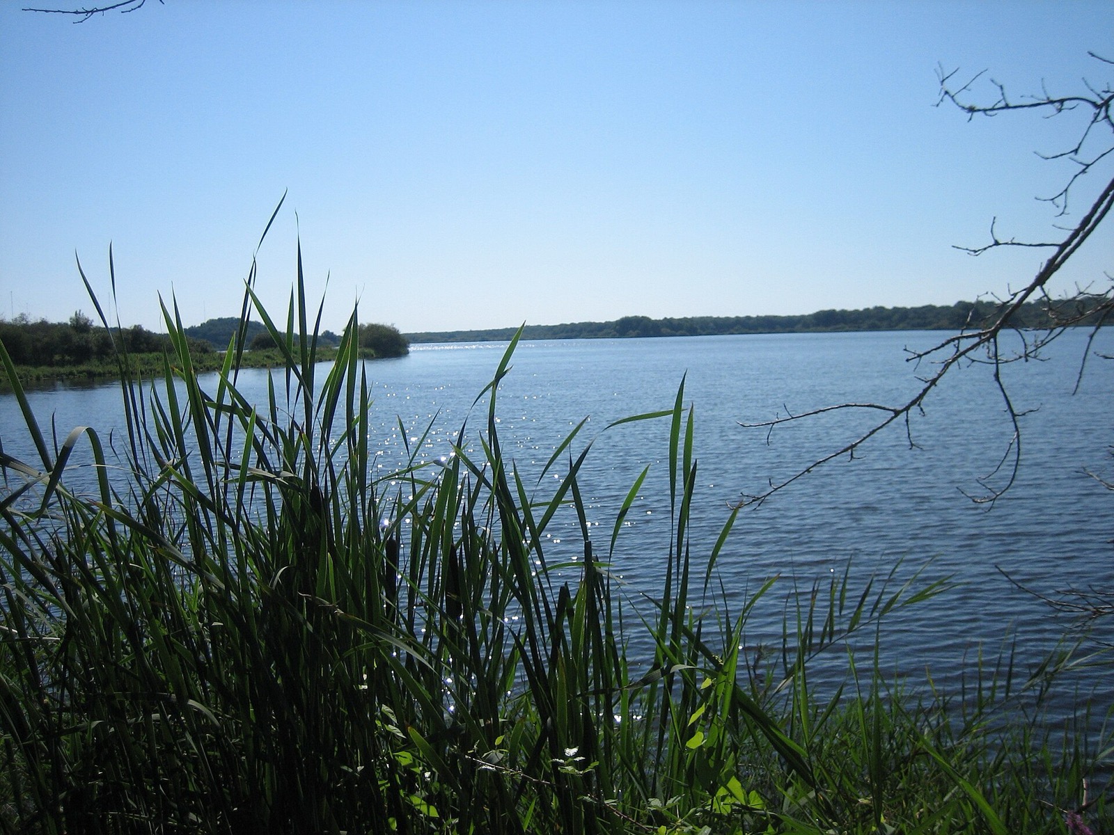 The &Eacute;tang de la Mer Rouge, in the Brenne